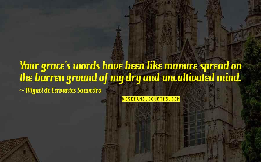 Indian Wedding Wishes Quotes By Miguel De Cervantes Saavedra: Your grace's words have been like manure spread