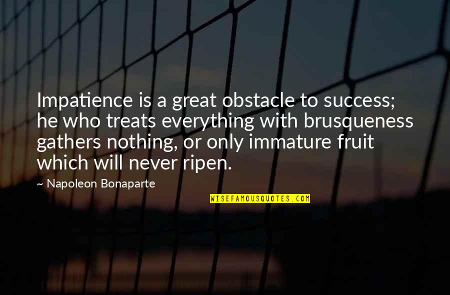 Indiscriminately In A Sentence Quotes By Napoleon Bonaparte: Impatience is a great obstacle to success; he