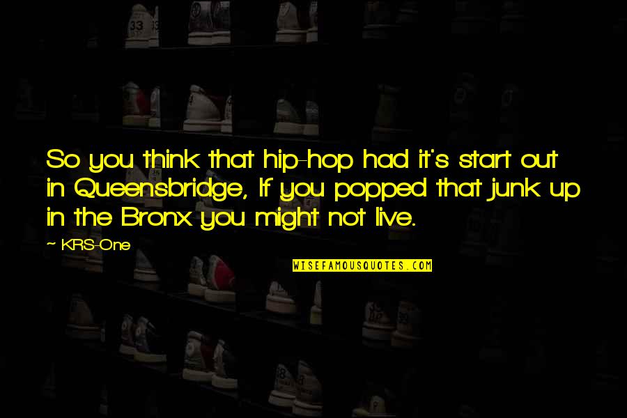 Inflates Quotes By KRS-One: So you think that hip-hop had it's start