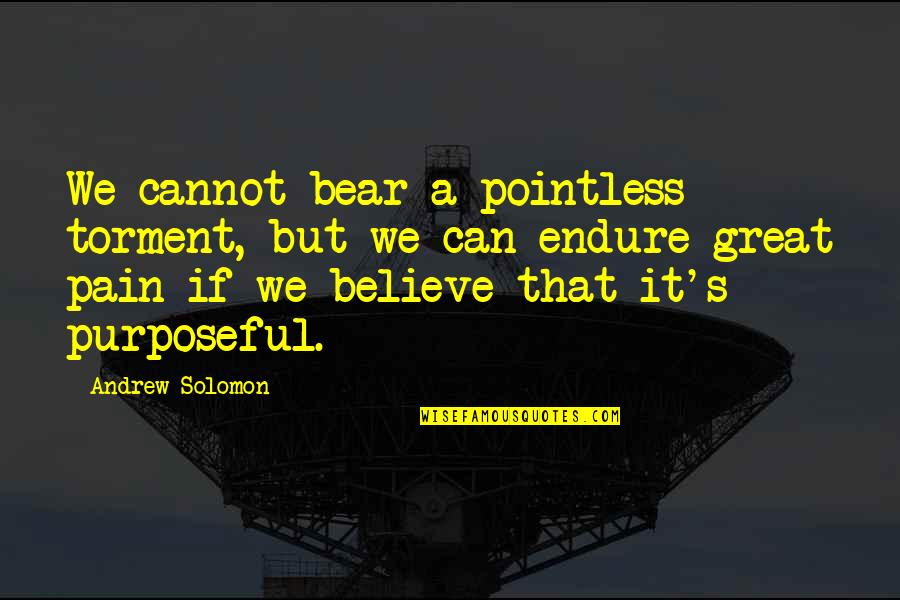 Ingaris Quotes By Andrew Solomon: We cannot bear a pointless torment, but we