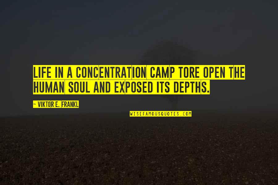 Inhuman Kat Falls Quotes By Viktor E. Frankl: Life in a concentration camp tore open the