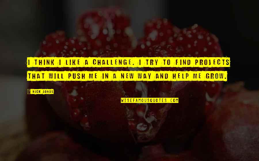 Inkel Ld Quotes By Nick Jonas: I think I like a challenge. I try