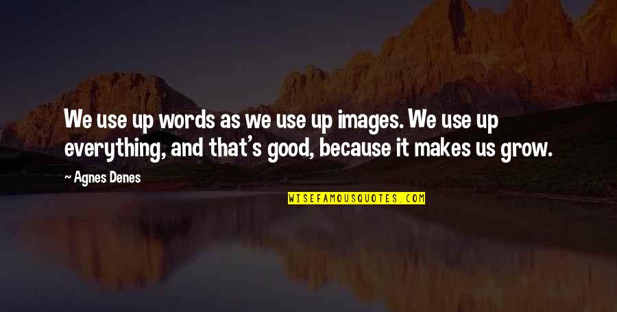 Innovated Vapors Quotes By Agnes Denes: We use up words as we use up