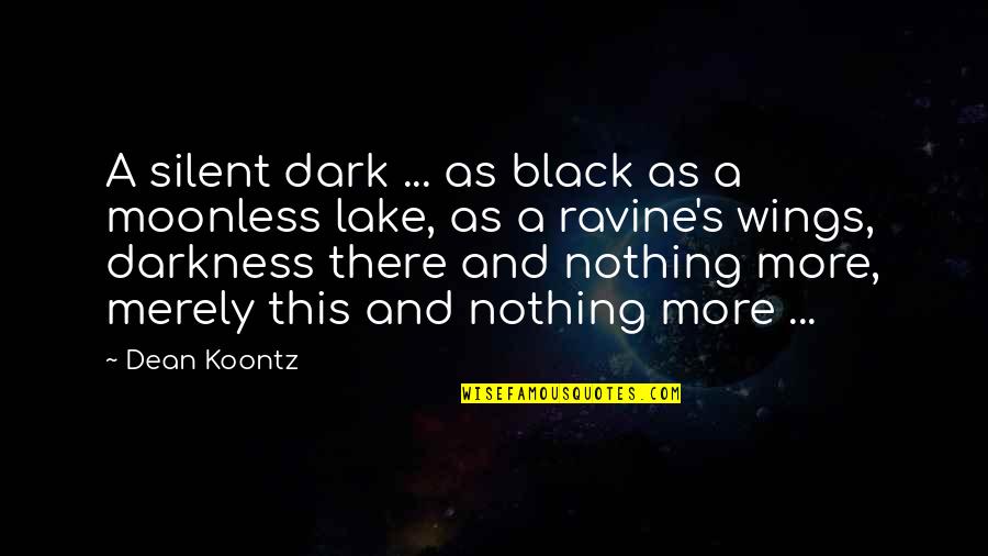 Inoculating Mushrooms Quotes By Dean Koontz: A silent dark ... as black as a