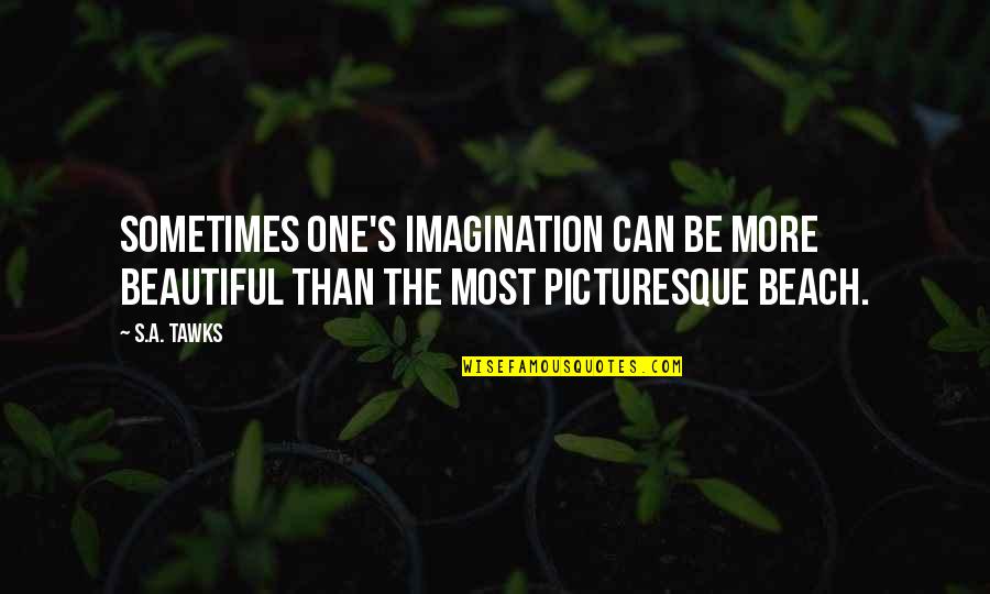 Insecticide Spray Quotes By S.A. Tawks: Sometimes one's imagination can be more beautiful than