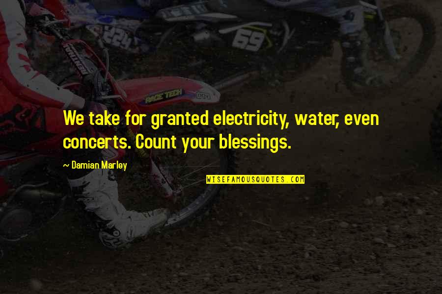 Inseguridad Significado Quotes By Damian Marley: We take for granted electricity, water, even concerts.