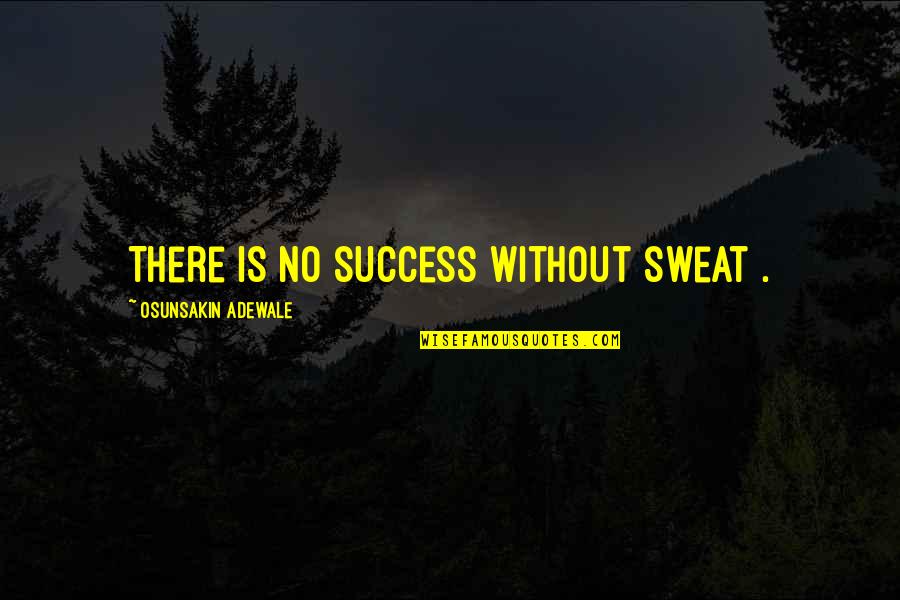 Insequent Inc Quotes By Osunsakin Adewale: There is no success without sweat .