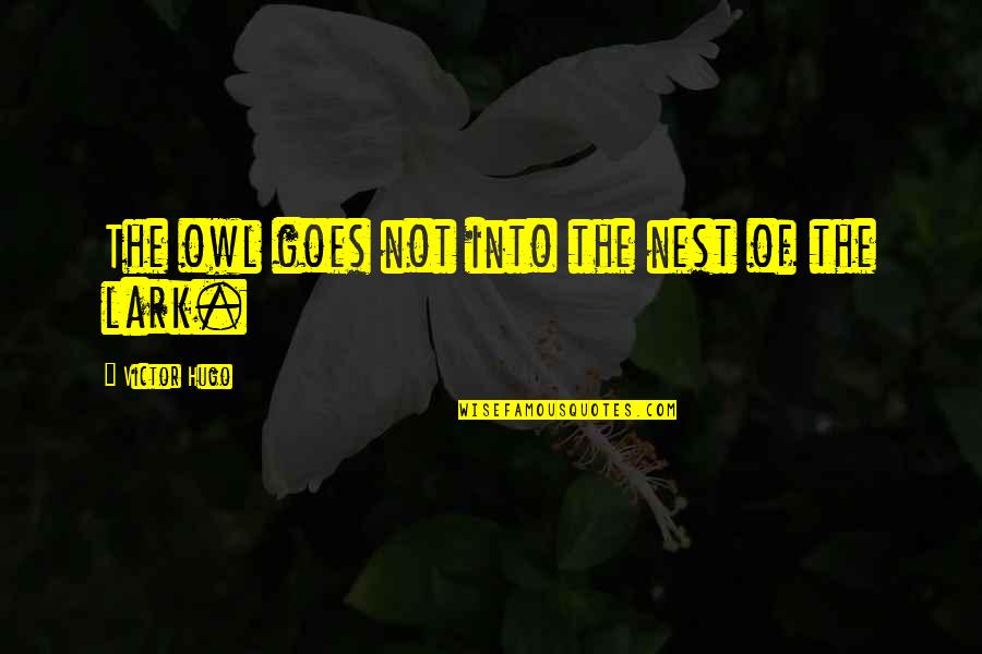 Inspirational Dc Movie Quotes By Victor Hugo: The owl goes not into the nest of