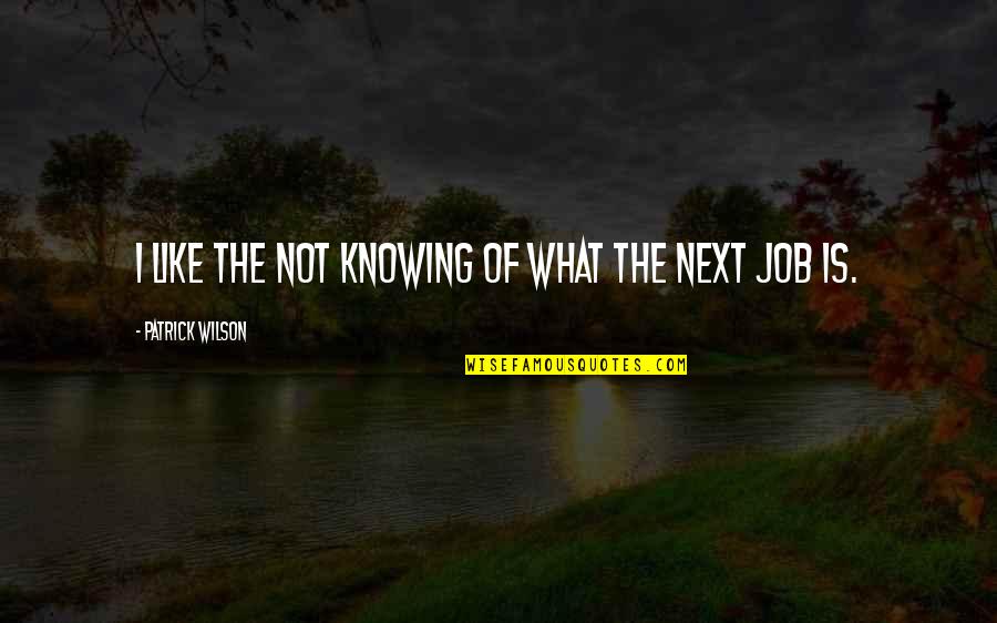 Inspirational Mini Quotes By Patrick Wilson: I like the not knowing of what the