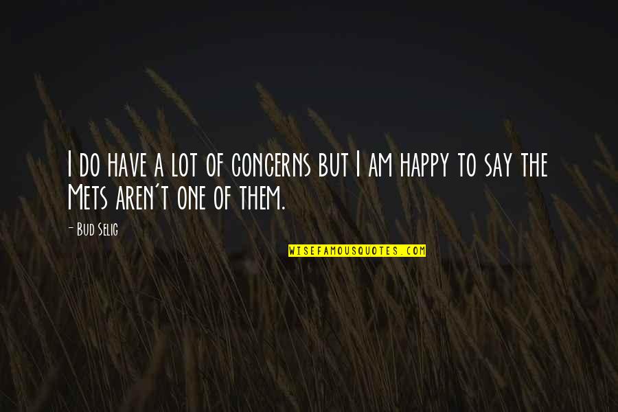 Inspirational Stubbornness Quotes By Bud Selig: I do have a lot of concerns but