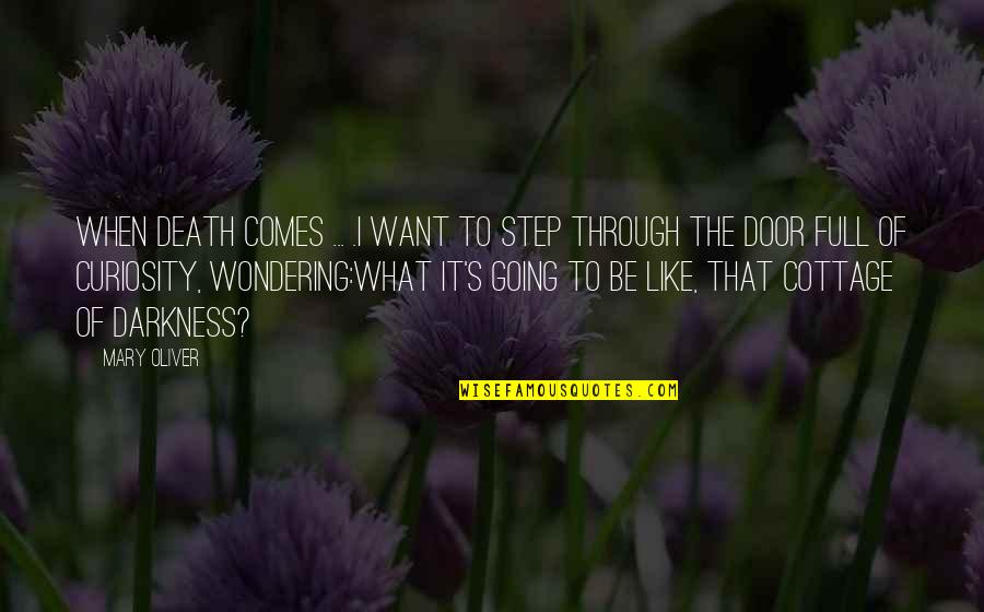 Inspirational Trampolining Quotes By Mary Oliver: When death comes ... .I want to step