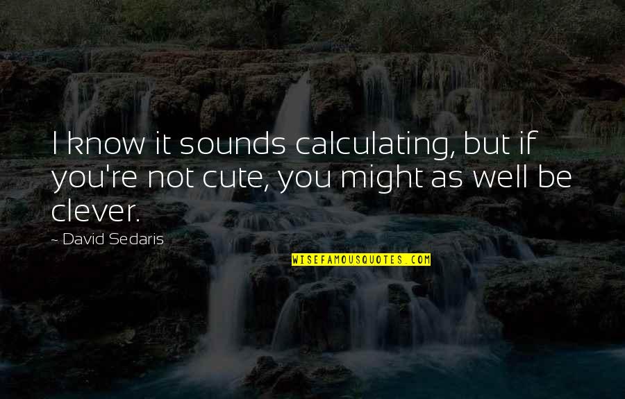 Inspiring Evening Quotes By David Sedaris: I know it sounds calculating, but if you're