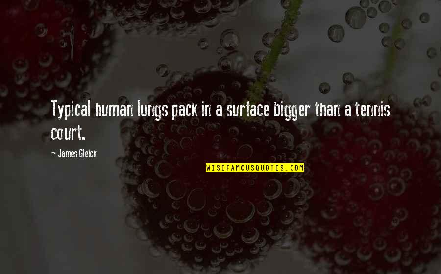 Instrumentales Romanticas Quotes By James Gleick: Typical human lungs pack in a surface bigger