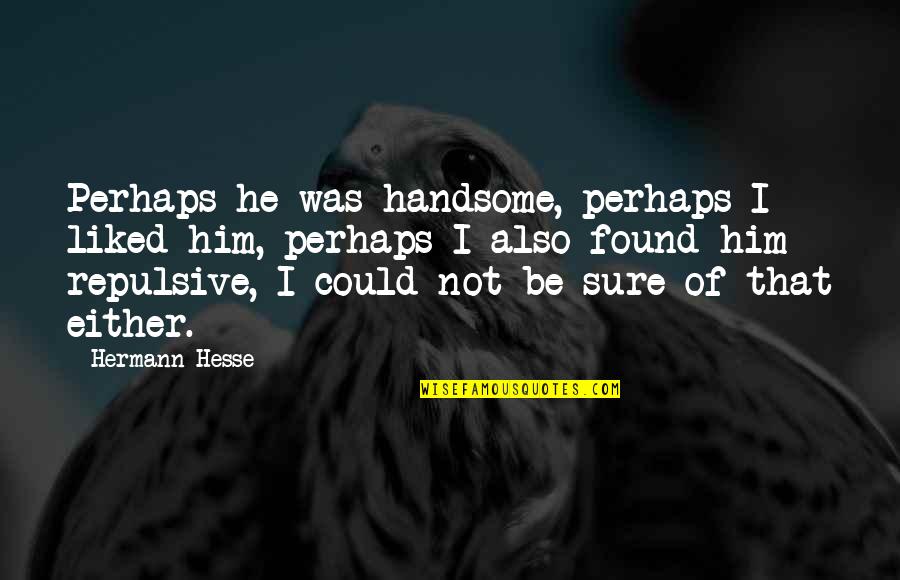 Insuficiente Poca Quotes By Hermann Hesse: Perhaps he was handsome, perhaps I liked him,