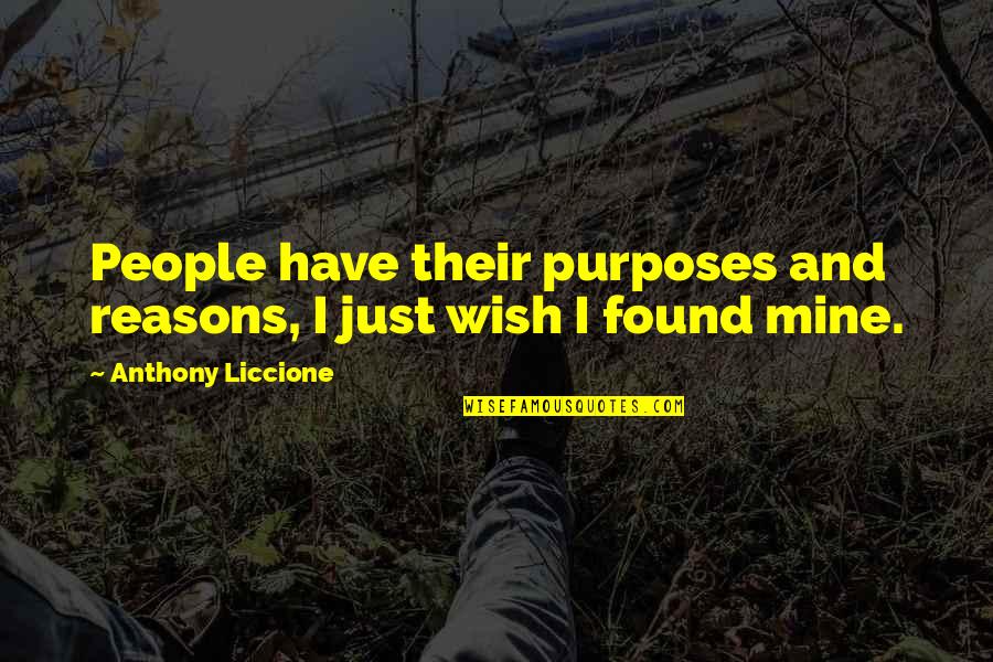 Insultar En Quotes By Anthony Liccione: People have their purposes and reasons, I just