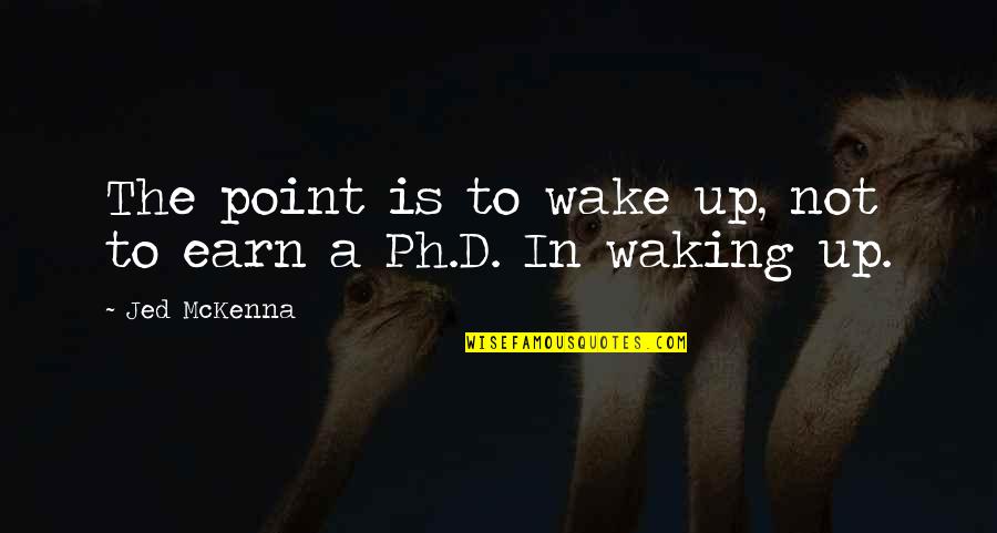 Integralet Quotes By Jed McKenna: The point is to wake up, not to