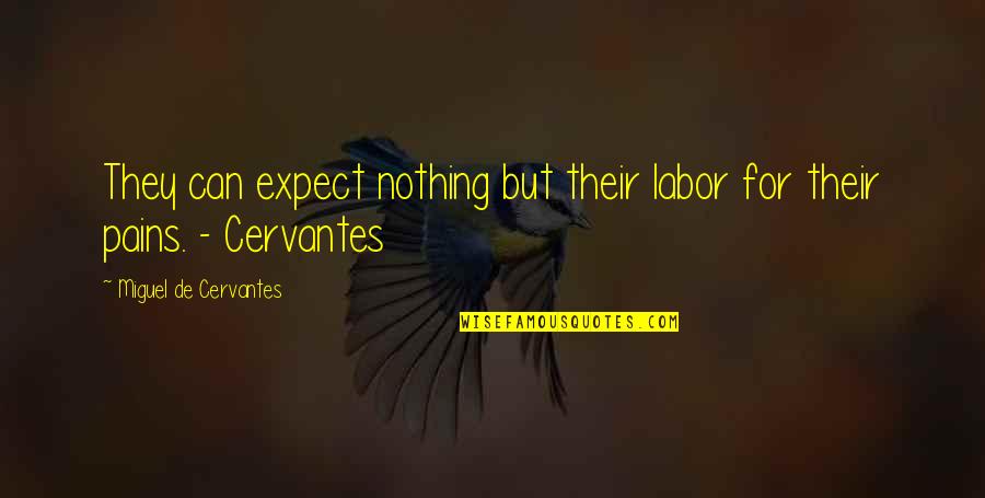 Interleukins 6 Quotes By Miguel De Cervantes: They can expect nothing but their labor for