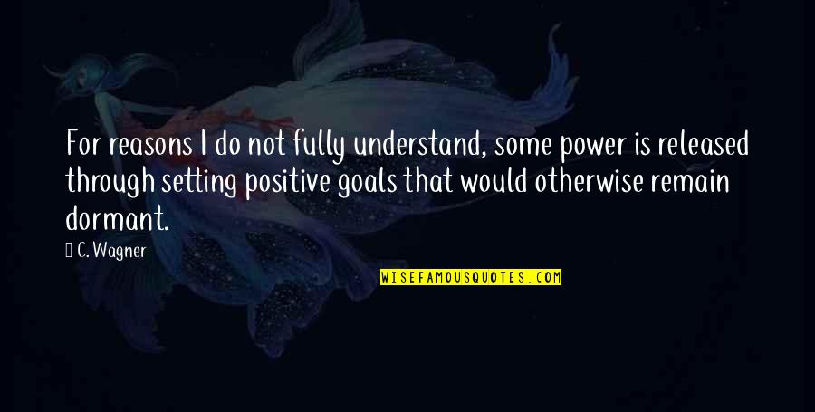 Intimidade Tradutor Quotes By C. Wagner: For reasons I do not fully understand, some