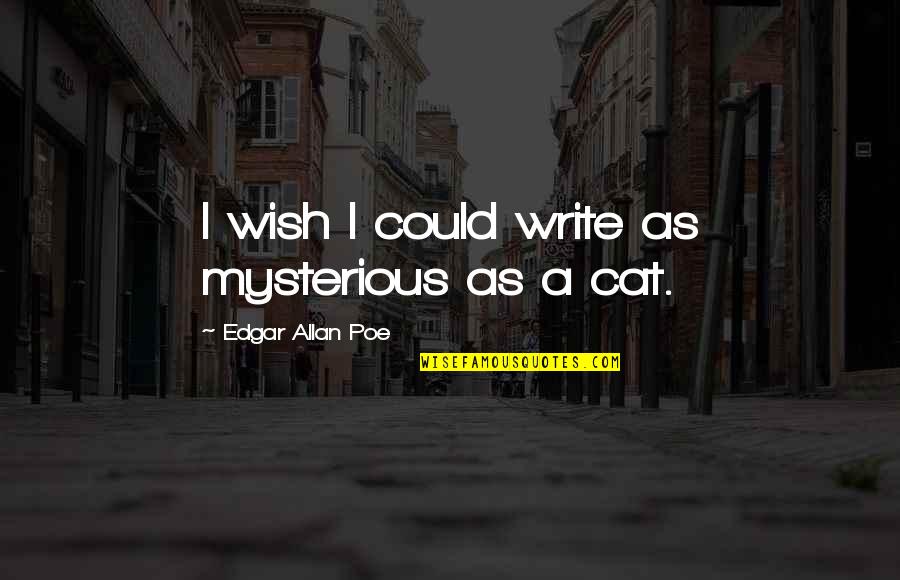 Iommi Pickup Quotes By Edgar Allan Poe: I wish I could write as mysterious as