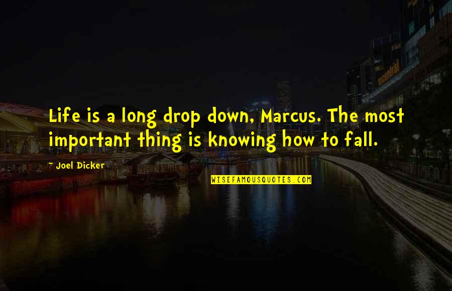 Iowa Wrestling Quotes By Joel Dicker: Life is a long drop down, Marcus. The