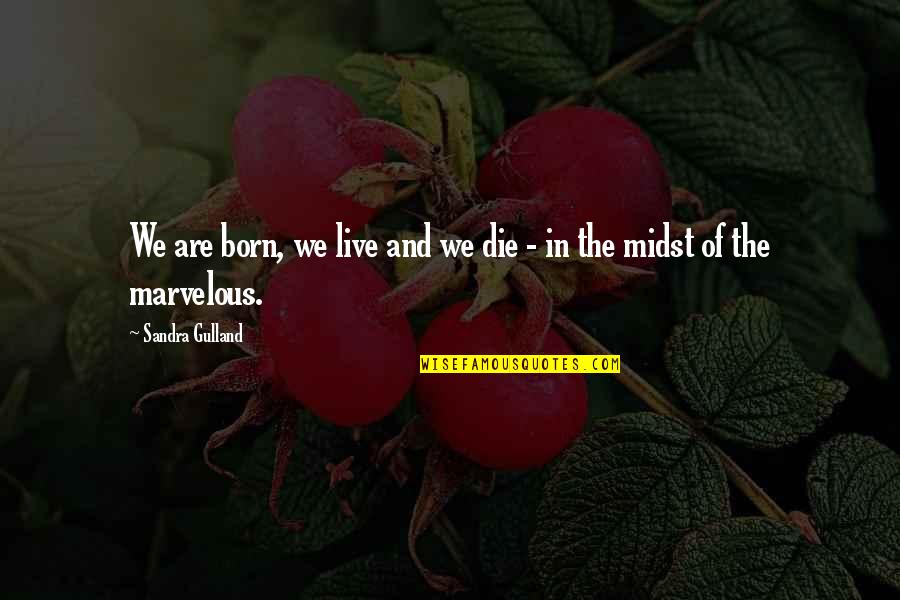 Irinas Tomaten Quotes By Sandra Gulland: We are born, we live and we die