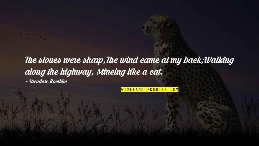 Irish Laughter Quotes By Theodore Roethke: The stones were sharp,The wind came at my