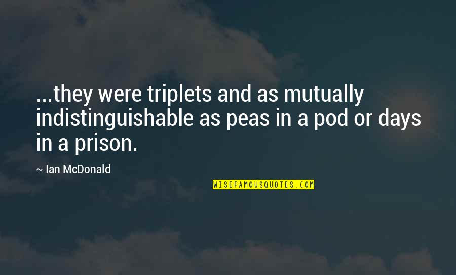 Irish Wakes Quotes By Ian McDonald: ...they were triplets and as mutually indistinguishable as