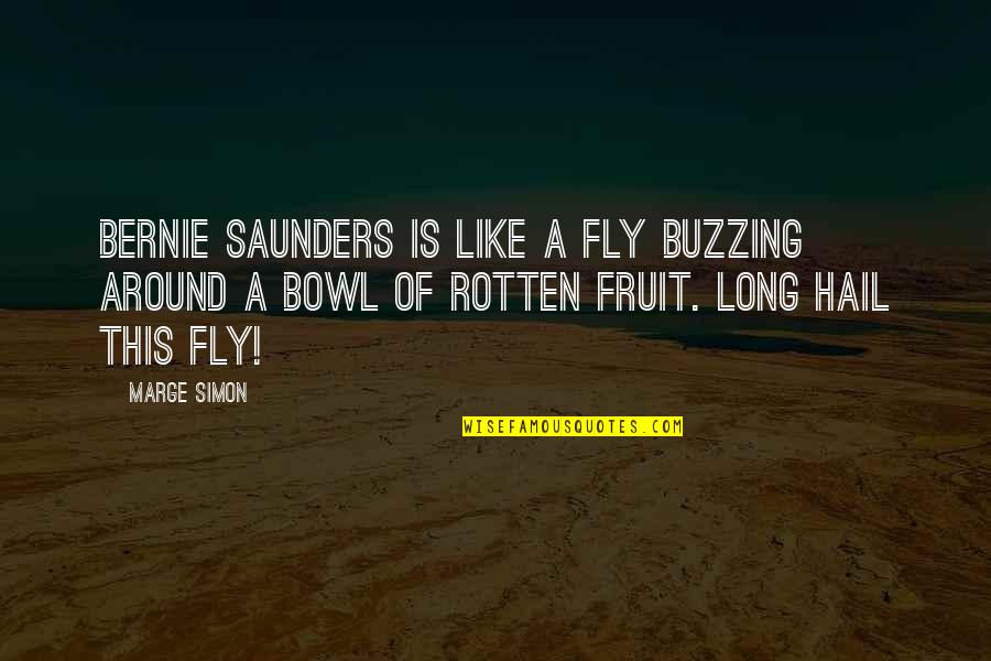 Is Hail Quotes By Marge Simon: Bernie Saunders is like a fly buzzing around