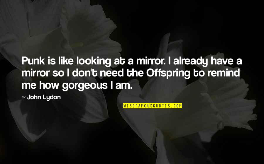 Is Looking Quotes By John Lydon: Punk is like looking at a mirror. I