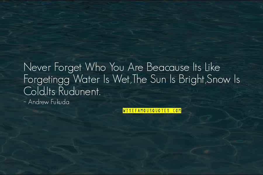 Is Water Wet Quotes By Andrew Fukuda: Never Forget Who You Are Beacause Its Like