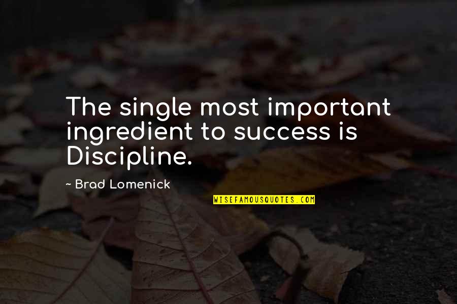 Islamogluzeybegi Quotes By Brad Lomenick: The single most important ingredient to success is