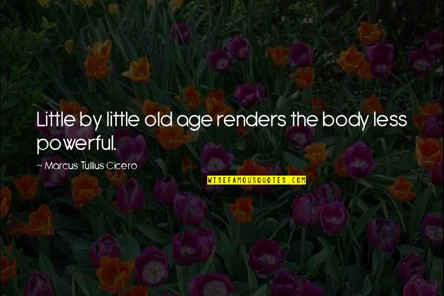 Istps Are Cool Quotes By Marcus Tullius Cicero: Little by little old age renders the body