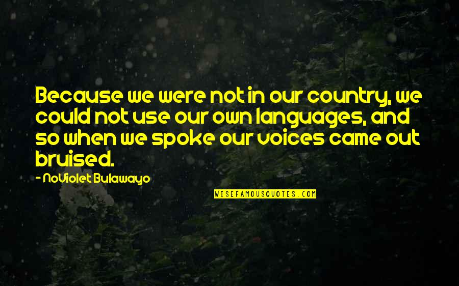 It Came From Within Quotes By NoViolet Bulawayo: Because we were not in our country, we