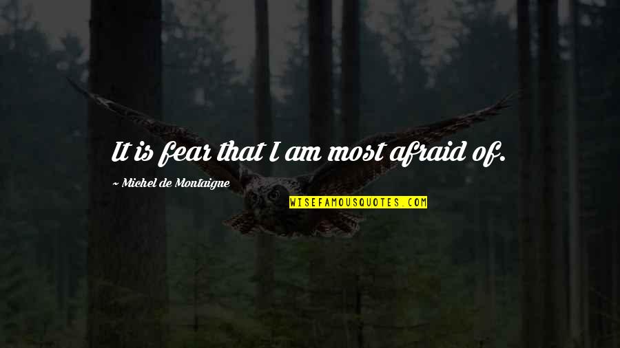 It Hurts Alot Quotes By Michel De Montaigne: It is fear that I am most afraid