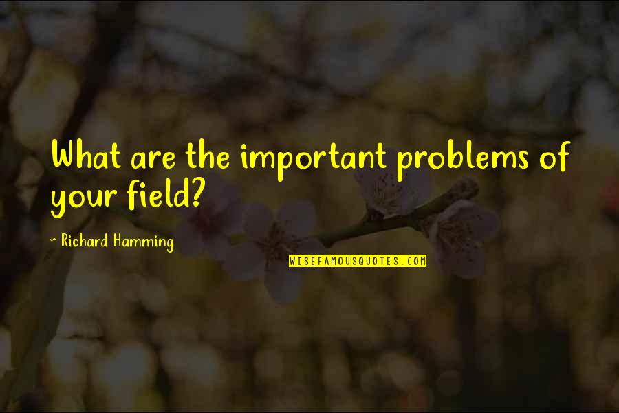 It Is Not My Problem Quotes By Richard Hamming: What are the important problems of your field?