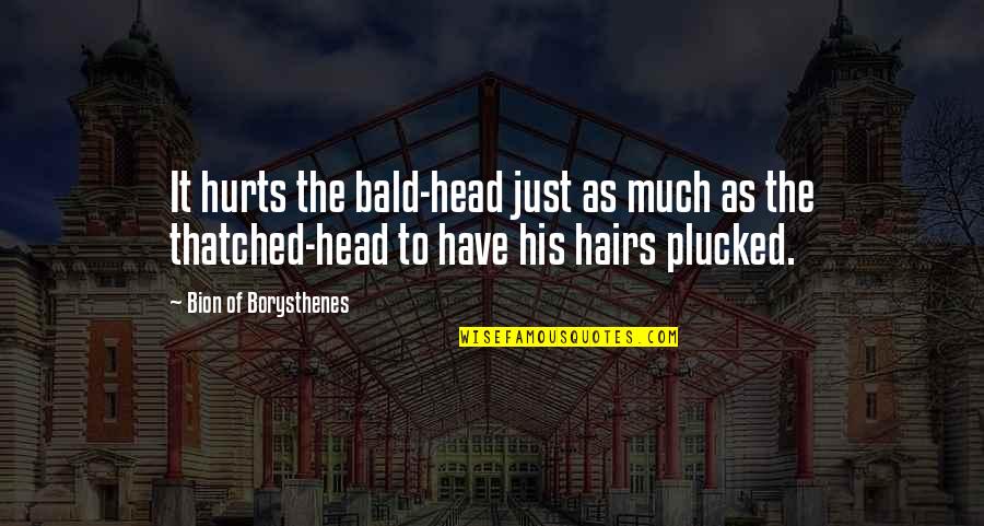 It Just Hurts Quotes By Bion Of Borysthenes: It hurts the bald-head just as much as