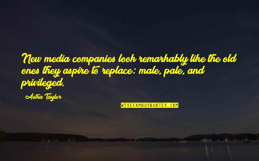 It's Easy To Hurt Quotes By Astra Taylor: New media companies look remarkably like the old