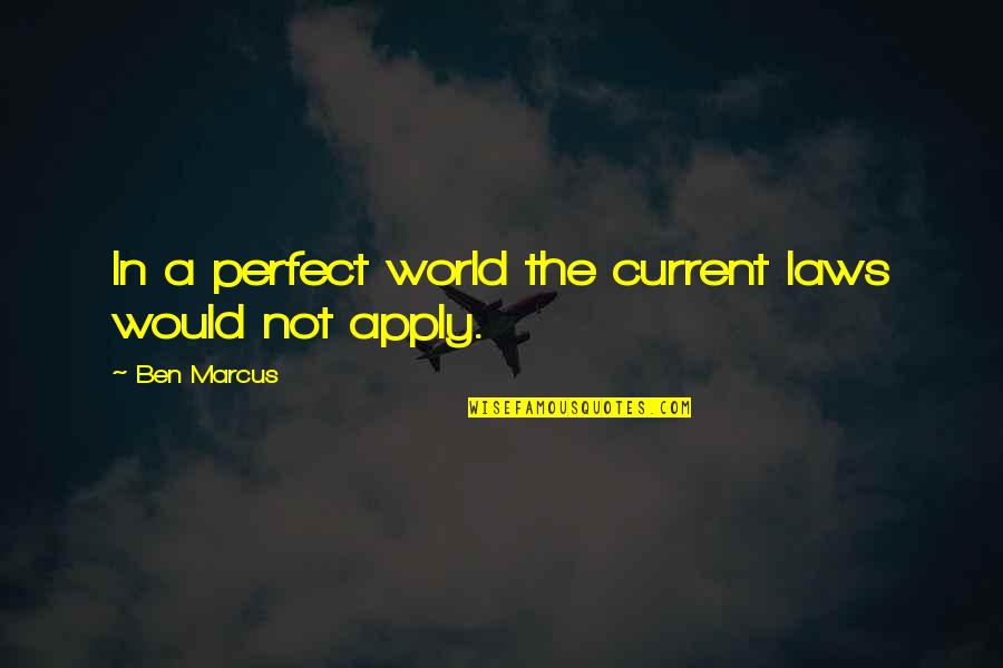 Its Not A Perfect World Quotes By Ben Marcus: In a perfect world the current laws would