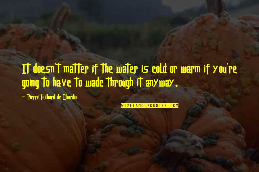 It's So Cold That Quotes By Pierre Teilhard De Chardin: It doesn't matter if the water is cold