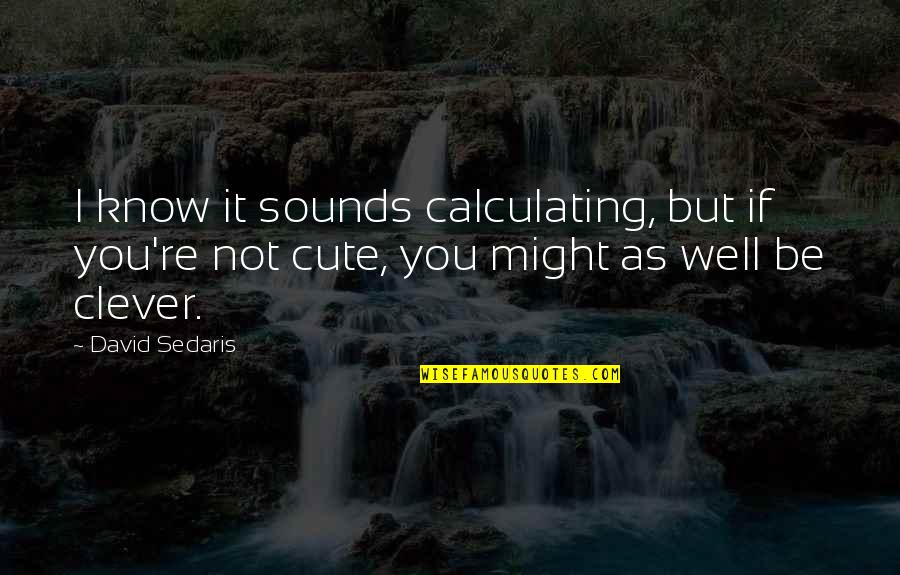 Its So Cute Quotes By David Sedaris: I know it sounds calculating, but if you're