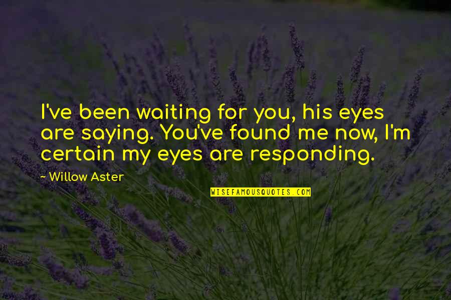 I've Been Waiting Quotes By Willow Aster: I've been waiting for you, his eyes are