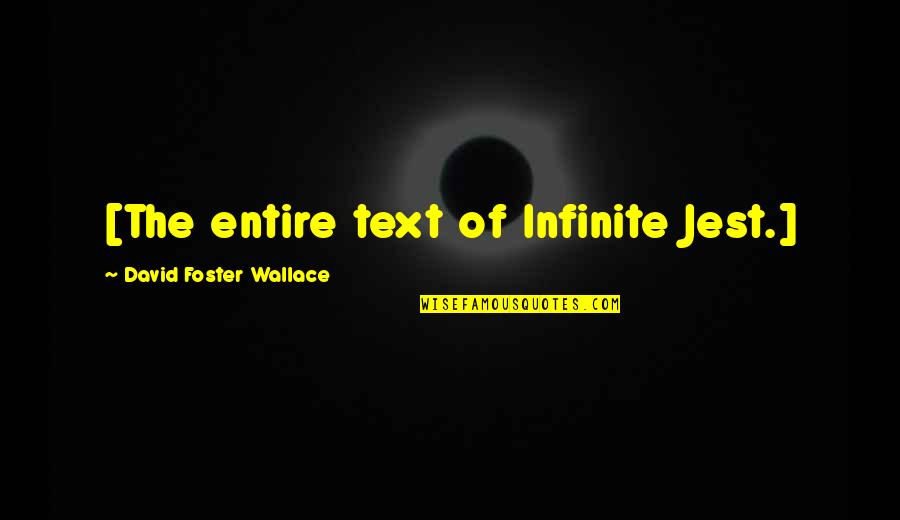 Jacklin Fernandes Quotes By David Foster Wallace: [The entire text of Infinite Jest.]