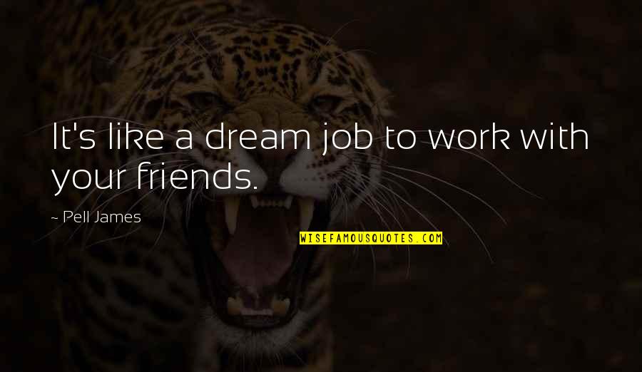 Jaggi Vasudev Funny Quotes By Pell James: It's like a dream job to work with