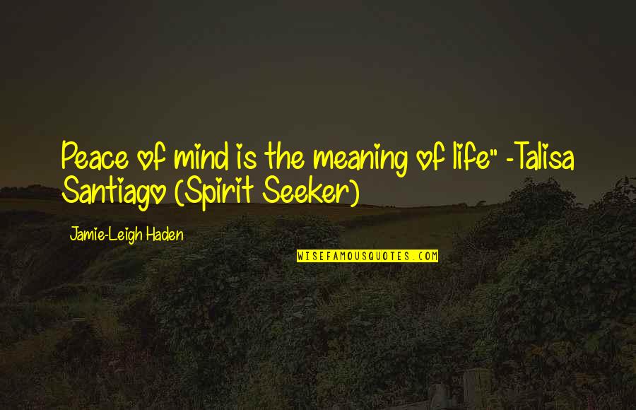 Jamie Quotes By Jamie-Leigh Haden: Peace of mind is the meaning of life"