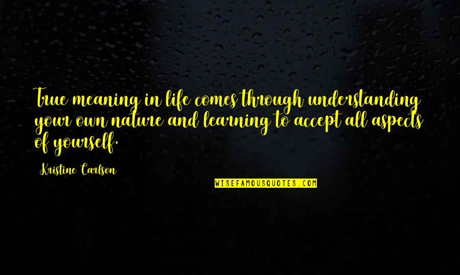 Jantjie Accident Quotes By Kristine Carlson: True meaning in life comes through understanding your