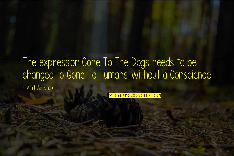 Jarbas Mattos Quotes By Amit Abraham: The expression Gone To The Dogs needs to