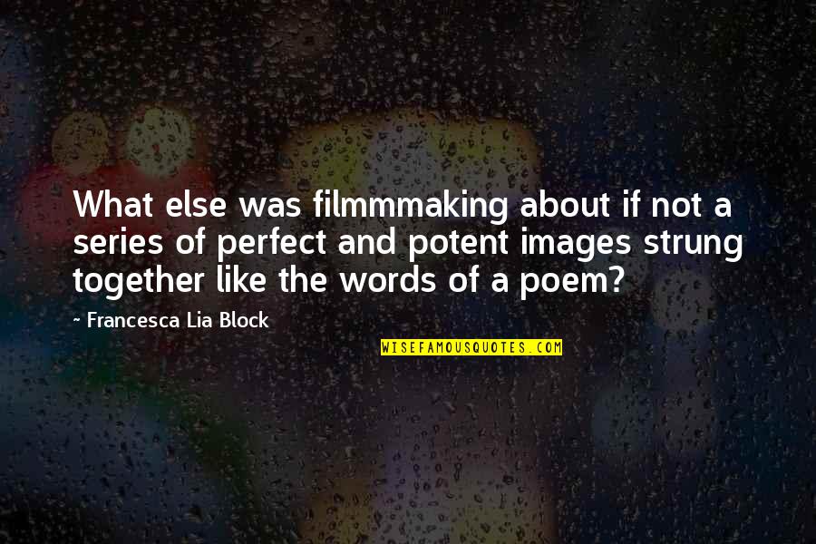 Javakhishvili University Quotes By Francesca Lia Block: What else was filmmmaking about if not a