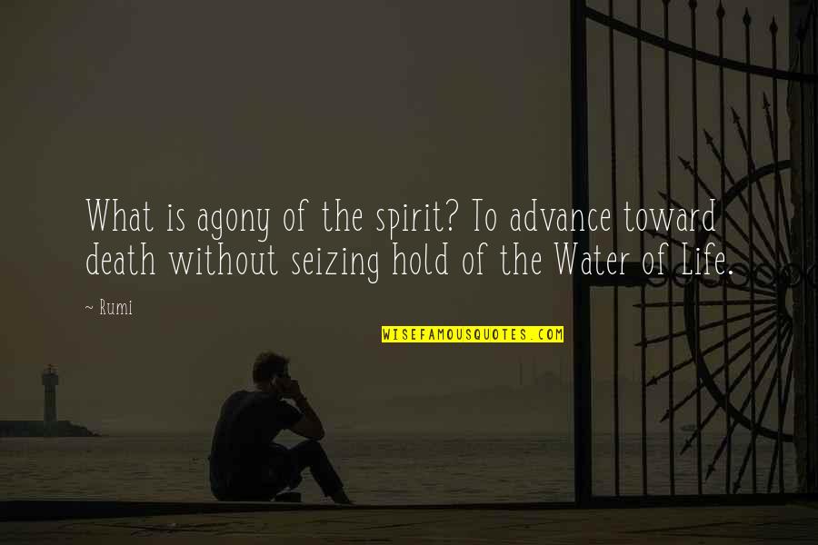 Javorsky Mlyn Quotes By Rumi: What is agony of the spirit? To advance