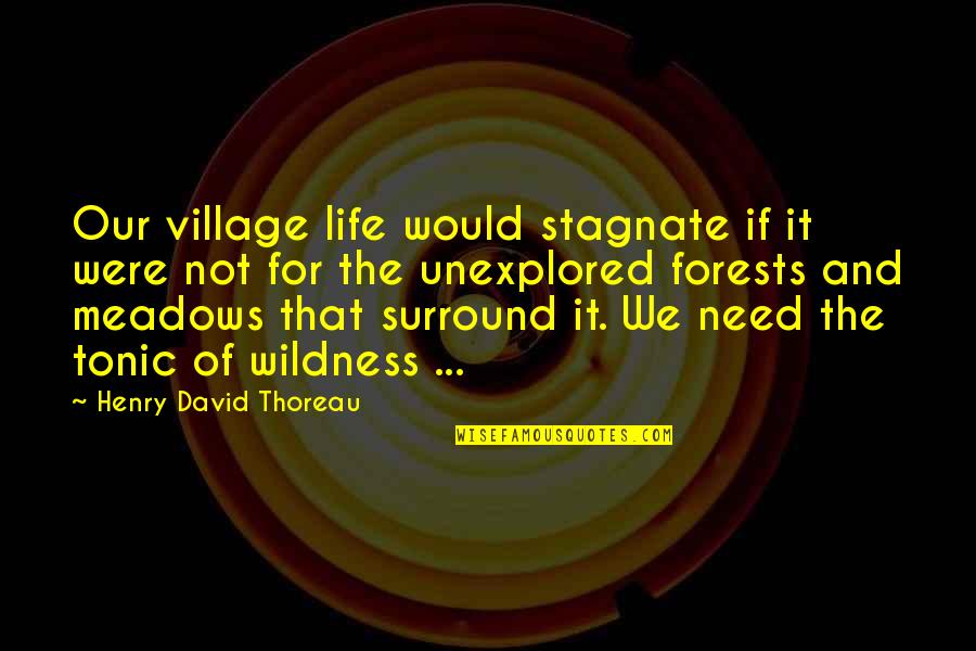 Jaynie Studenmund Quotes By Henry David Thoreau: Our village life would stagnate if it were