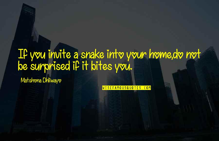 Jealous Brother In Law Quotes By Matshona Dhliwayo: If you invite a snake into your home,do